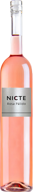 Nicte Rosa Pàlido Castilla y León VdT