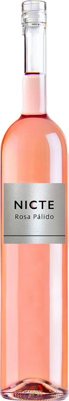 Nicte Rosado Castilla y León VdT