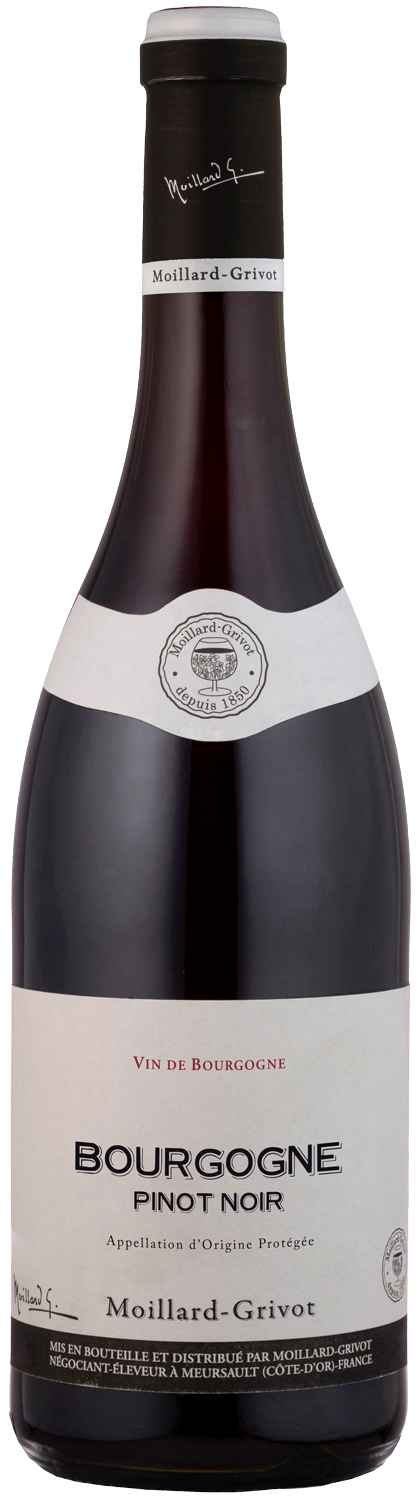 Moillard-Grivot Pinot Noir Bourgogne ac