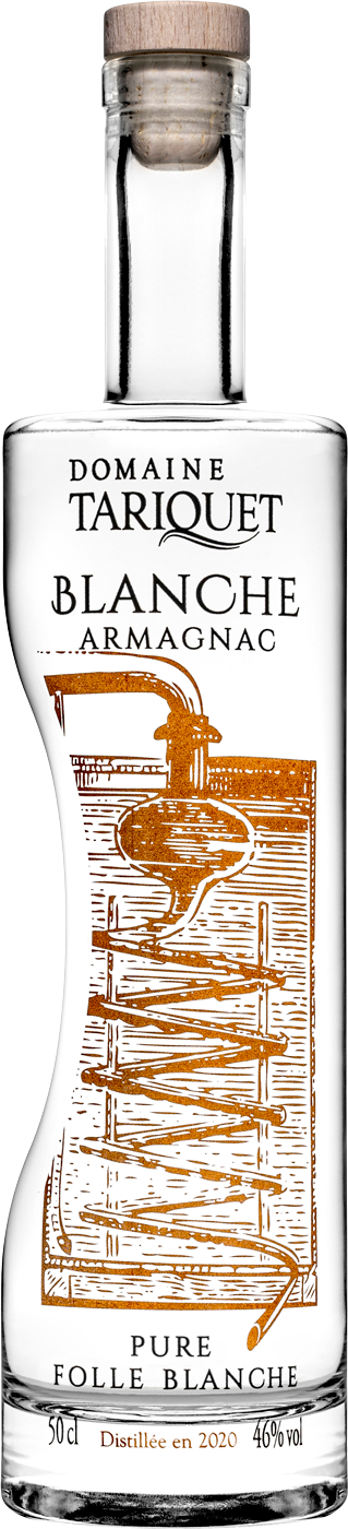 Blanche Armagnac  Bas-Armagnac AOC