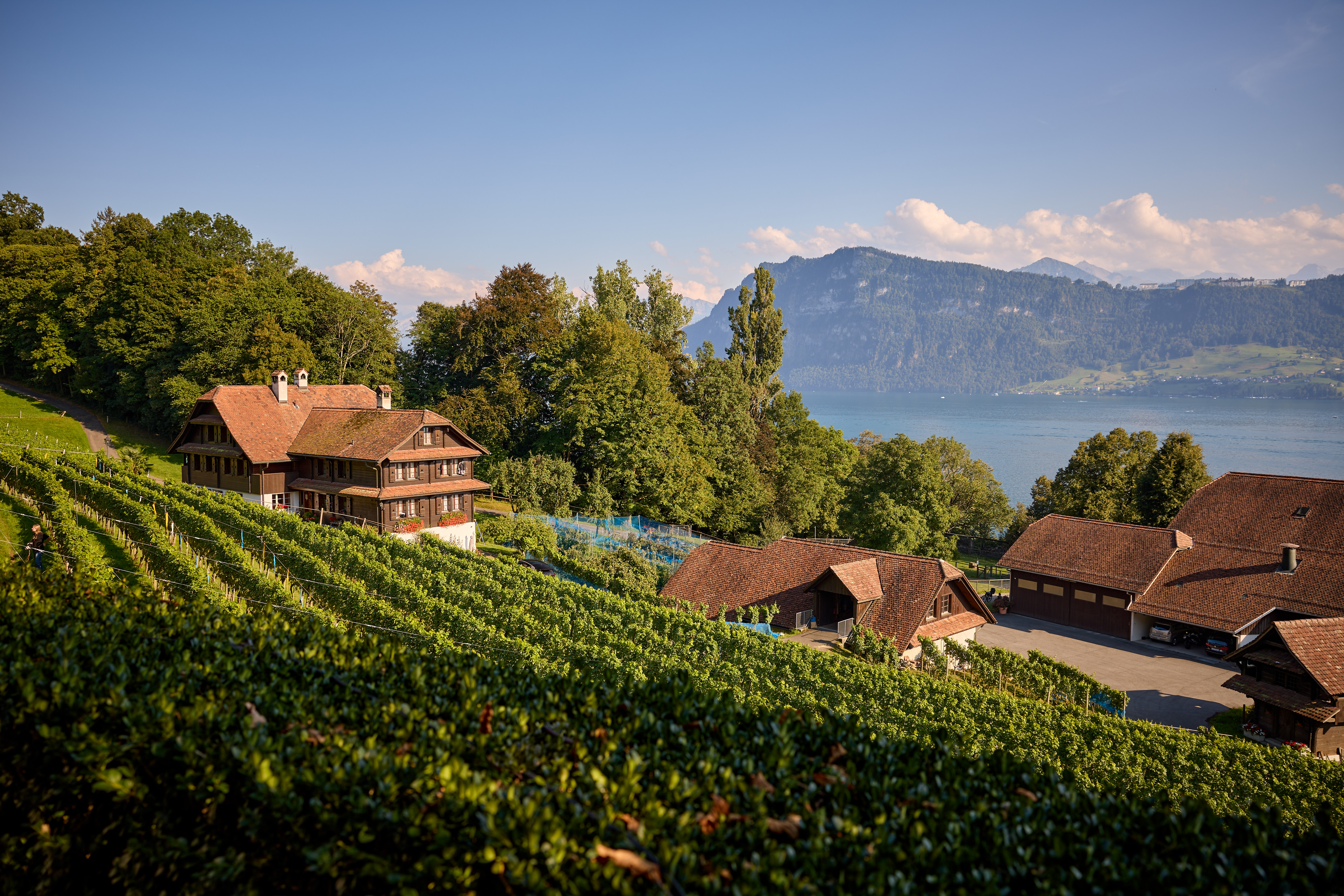 Verantwortliche:r Weingut Schloss Meggenhorn (m/w/d) 100% (allenfalls 50% Jahresarbeitszeit)