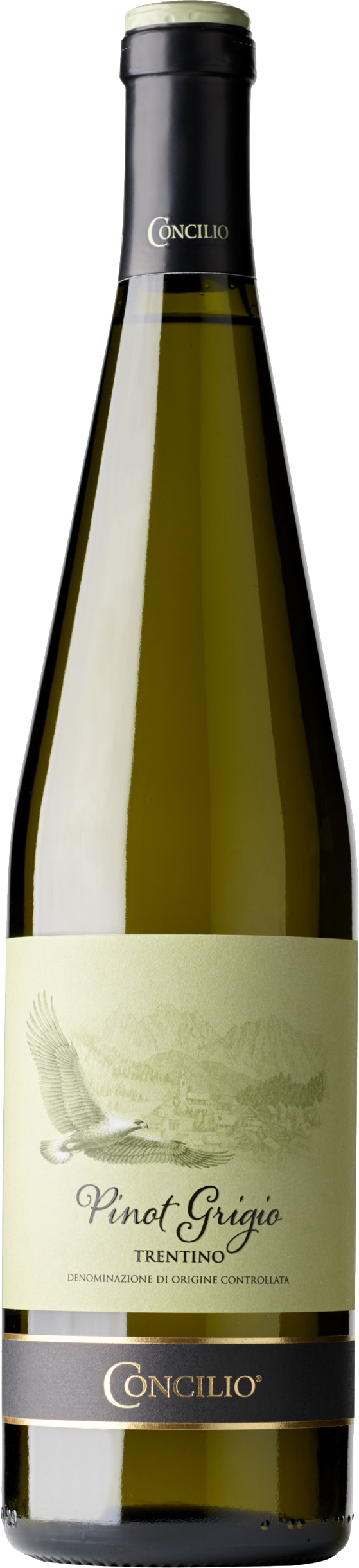 Nativi Pinot Grigio Trentino DOC