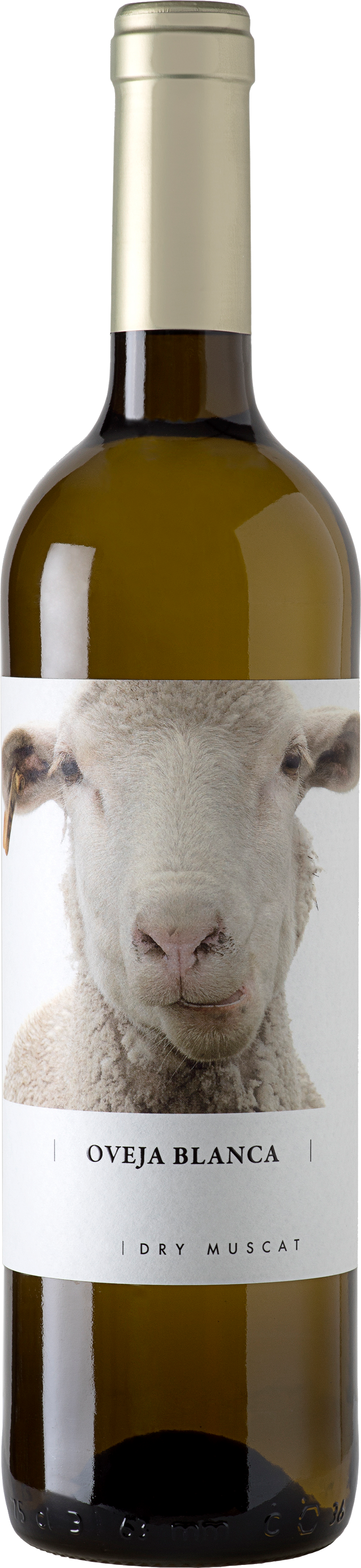 150617-oveja-blanca-dry-muscat-vino-varietal-75-cl Oveja Blanca Dry Muscat BIO