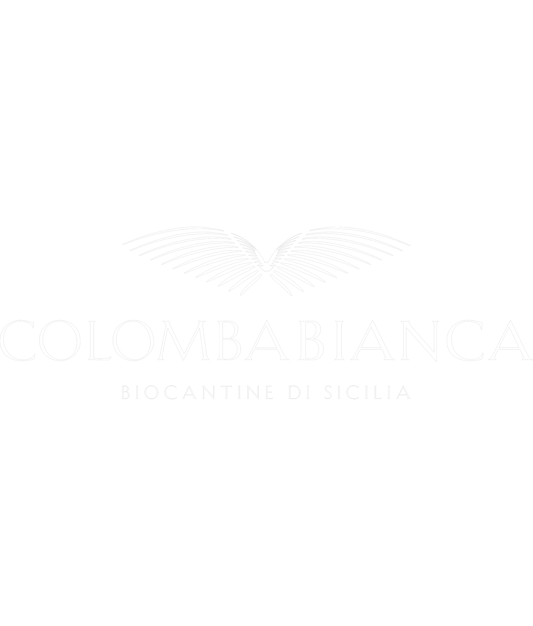 Colomba Bianca_Resized