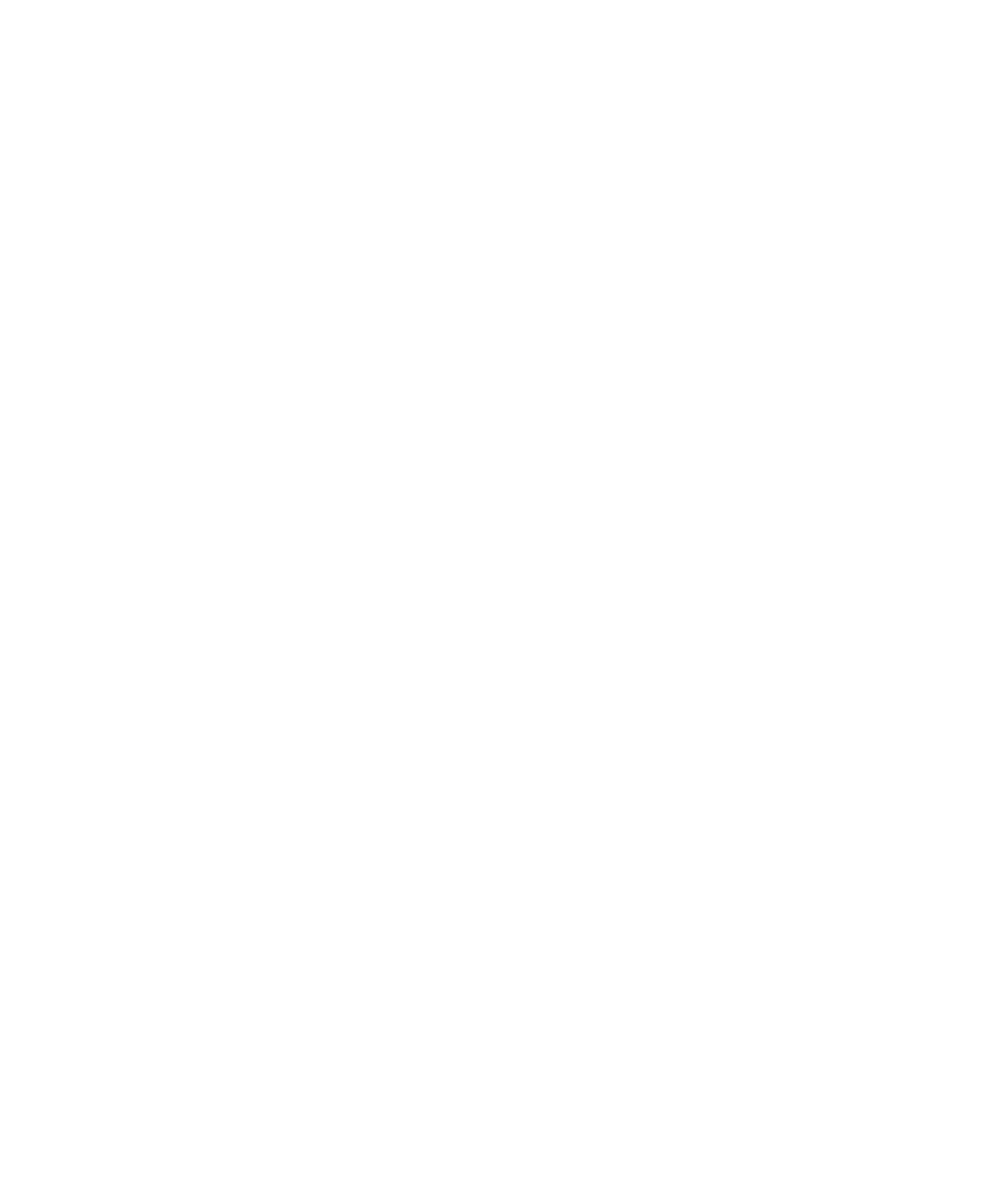 Roberto Sarotto_10