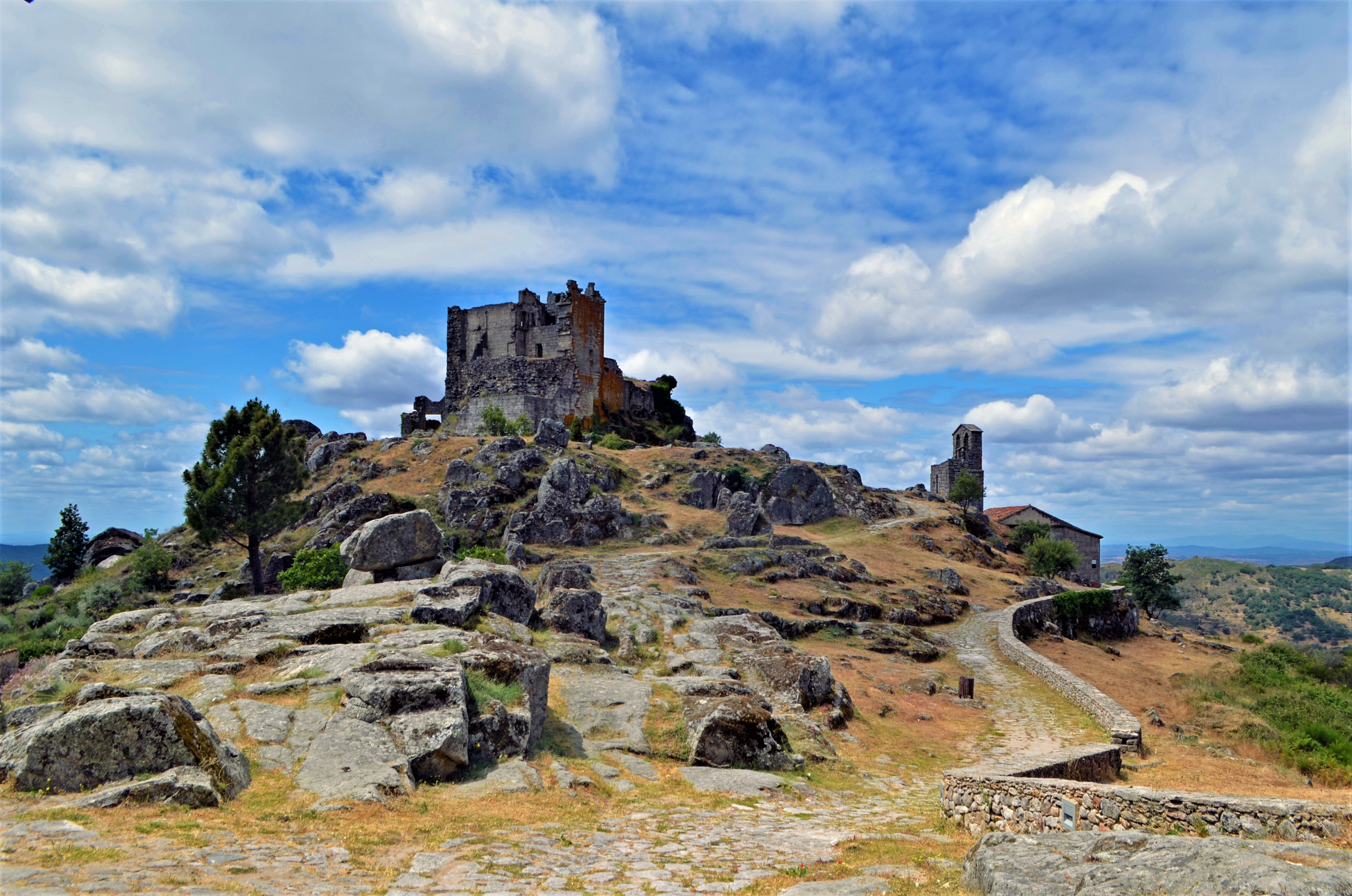 Viedos de Montaa-001