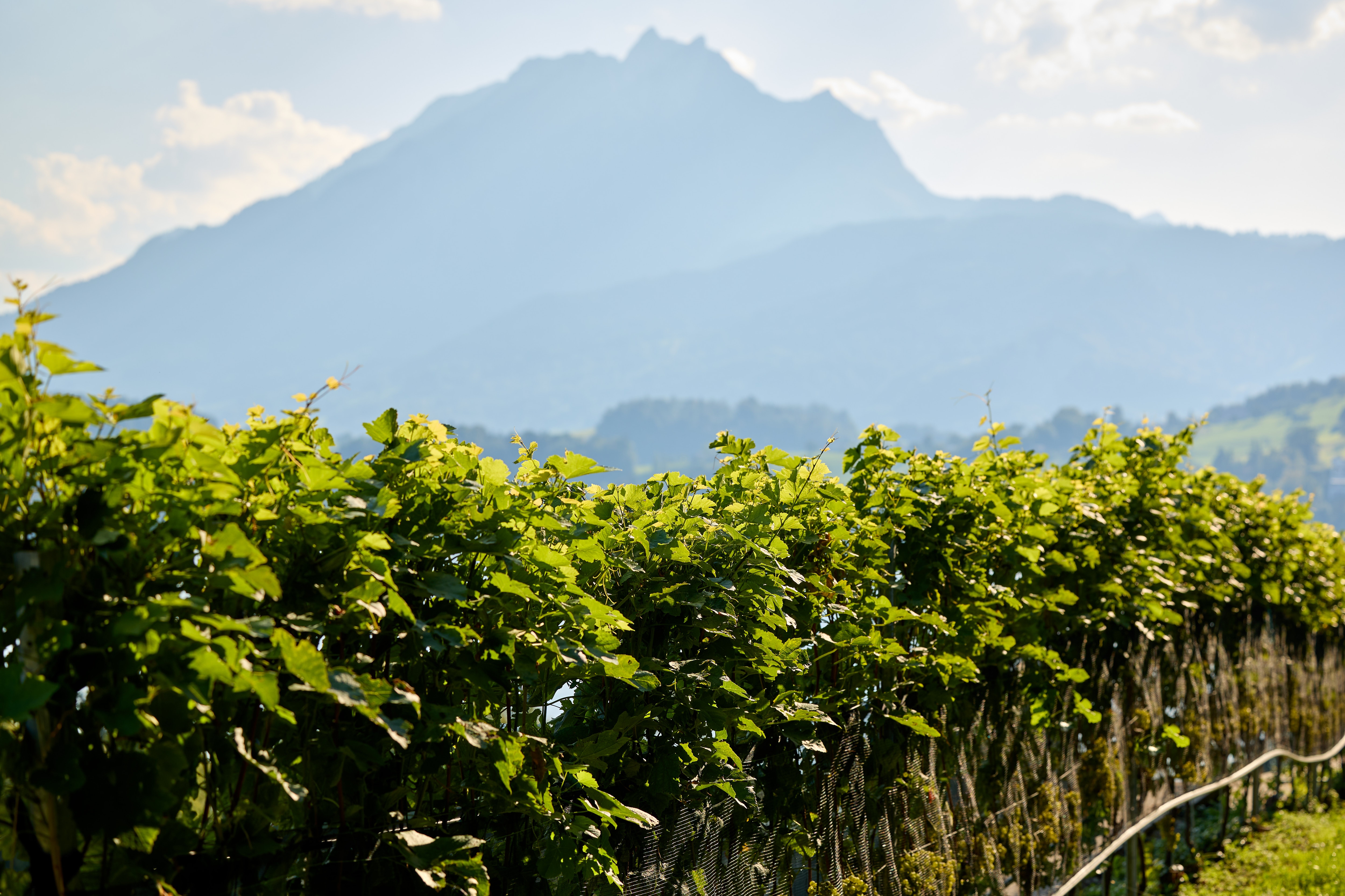 AZR_220825_26282 AZR_220825_26282